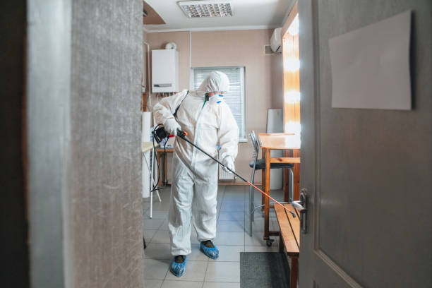 Best Forensic Mold Investigation  in Harvey, LA